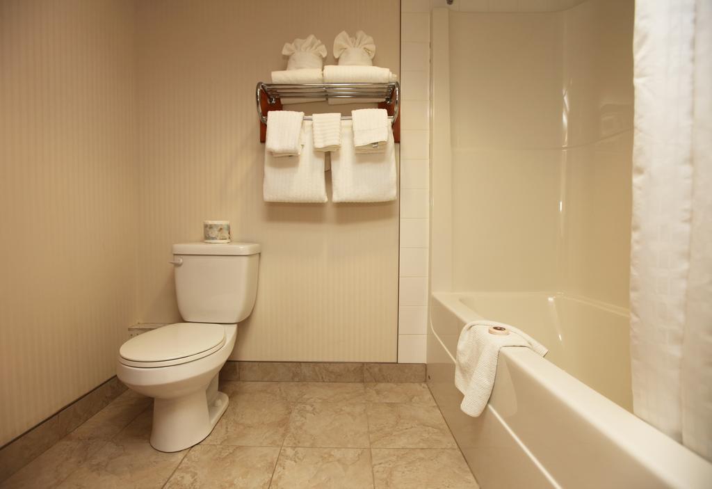 St. Albert Inn & Suites Saint Albert Rum bild